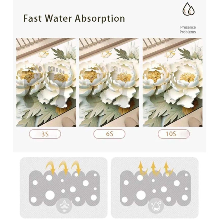 Thảm Sàn Hấp Thụ Bùn Diatom Vẽ Tranh Dầu 3D, Thảm Chống Trượt, 40 x 60cm, 50 x 80cm