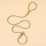 Dây Dẫn Chó Dây An Toàn Khóa Chuẩn Trung Lớn, 1.5m x 0.6cm, 1.5m x 0.8cm, 1.5m x 1cm, 1.8m x 0.6cm, 1.8m x 0.8cm, 1.8m x 1cm