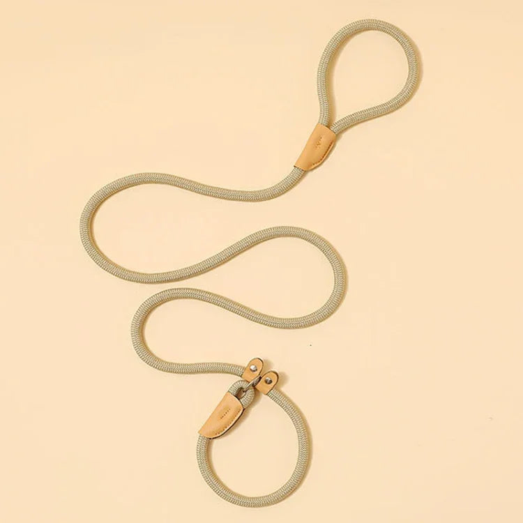 Dây Dẫn Chó Dây An Toàn Khóa Chuẩn Trung Lớn, 1.5m x 0.6cm, 1.5m x 0.8cm, 1.5m x 1cm, 1.8m x 0.6cm, 1.8m x 0.8cm, 1.8m x 1cm