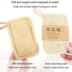 Bàn Chải Rửa Chén Bọt Biển Tự Nhiên Dụng Cụ Rửa Chén Bọt Biển, Loại Mềm Hình Vuông, Loại Mềm Hình Bầu Dục, Loại Cứng Hình Vuông, Loại Cứng Hình Bầu Dục