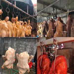 Móc Treo Vịt Bằng Thép Không Gỉ Hai Vòng Dùng Cho Nấu Ăn Ngoài Trời, Móc Treo Nướng BBQ, Vòng Nhỏ 3cm 23cm, Vòng Sáp Nhỏ 3cm 24.5cm, Vòng Sáp Lớn 3cm 33cm, Vòng Sáp Trung 3cm 29cm, Vòng Thép Dày Ngắn 4cm 24cm