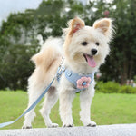 Pet Puppy Dog Leash Vest Teddy Chest Belt Chain Dog Walking Leash, S, M, L, XL
