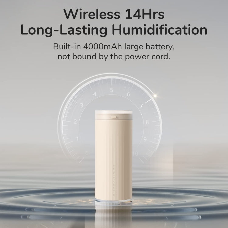Ảnh thay thế