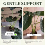 Plant Roots Fixing Bracket Gardening Care Tools, BJ138-001, BJ138-002