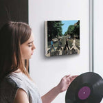Giá treo tường trưng bày đĩa than Vinyl, YH011-1, YH011-2