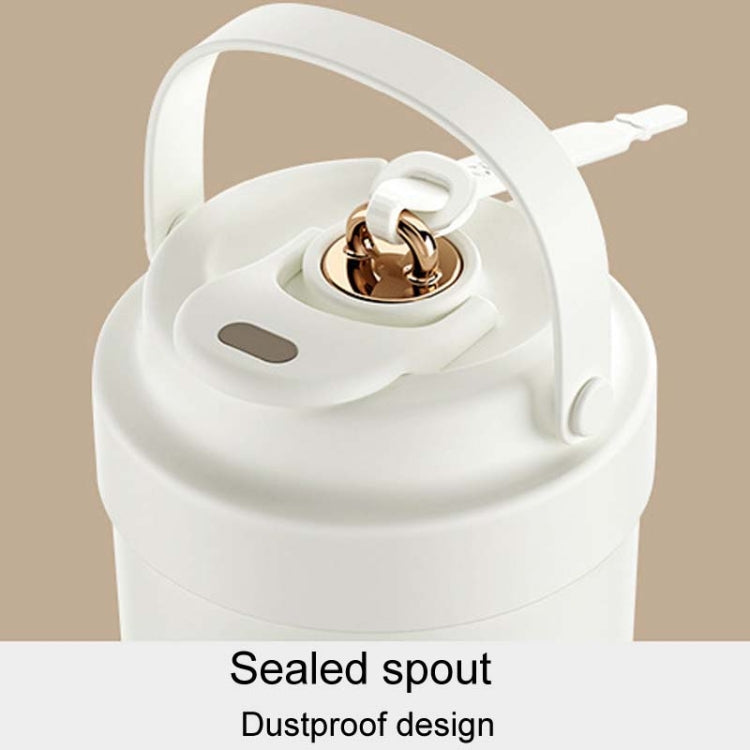 Cốc giữ nhiệt bằng thép không gỉ 316 có thể mang theo cốc cà phê đôi có ống hút, 500ml