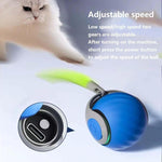 Smart Self Rolling Ball Interactive Cat Toys USB Rechargeable Cat Ball Two Speed Adjustment, TUTU Blue, TUTU Orange