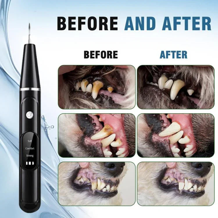 Bộ làm sạch răng siêu âm cho chó Dụng cụ chăm sóc răng miệng Tẩy mảng bám cao răng, Bộ 3 cái (Trắng), Bộ 3 cái (Đen), Bộ có hộp quà kèm gương miệng (Trắng), Bộ có hộp quà kèm gương miệng (Đen)