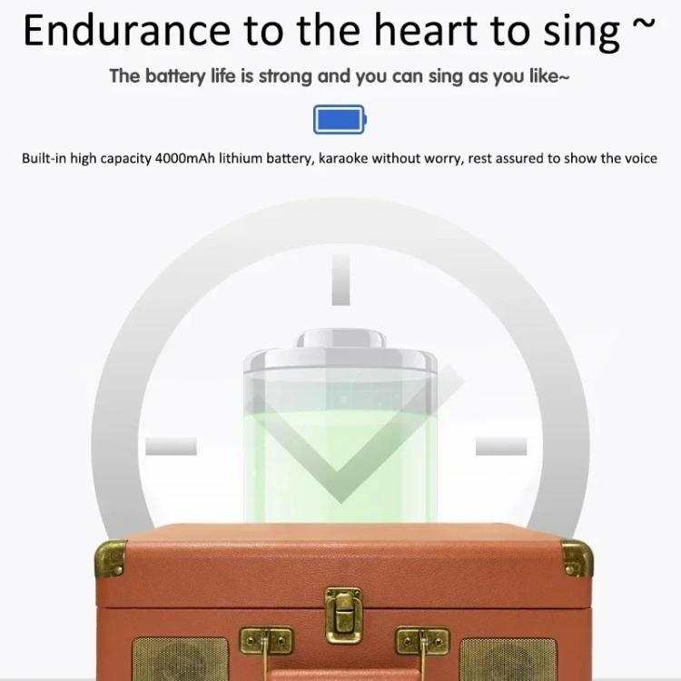 Máy karaoke hộp gỗ SDRD với hệ thống loa tích hợp mic đôi không dây, hỗ trợ USB/Thẻ TF