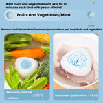 Portable Sterilization Pesticide Residue Removal Fruit Vegetable Cleaning Machine, English