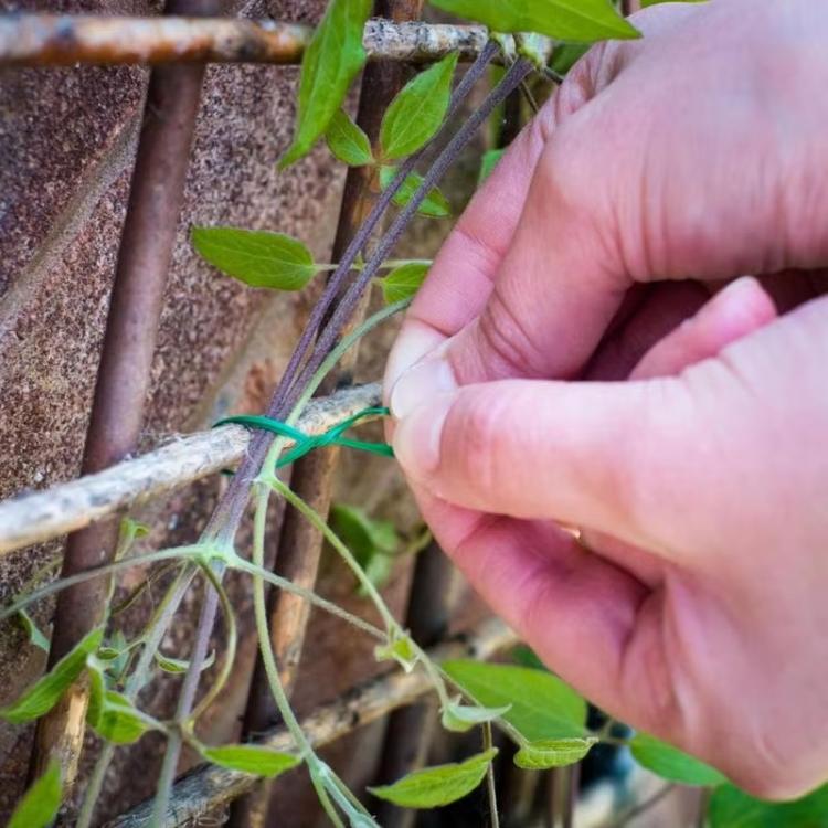 Dây vải làm vườn dài 30m, dây buộc hỗ trợ cây trồng