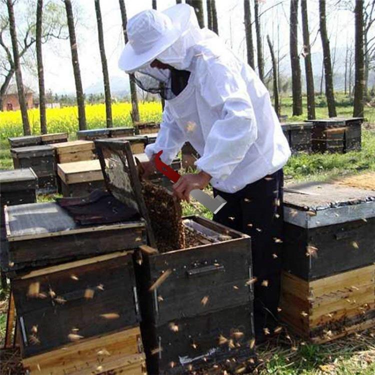Dụng cụ cạo tổ ong bằng thép không gỉ đuôi cong, dụng cụ nuôi ong