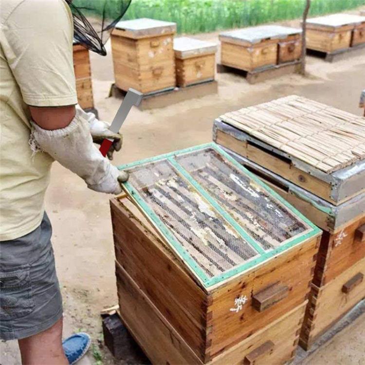 Dụng cụ cạo tổ ong bằng thép không gỉ đuôi cong, dụng cụ nuôi ong