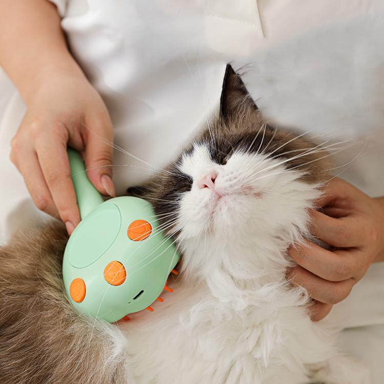 Bình xịt vệ sinh kết hợp lược massage cho thú cưng