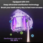 Máy tiệt trùng bàn chải đánh răng có thể sạc lại qua USB di động với tiệt trùng UV