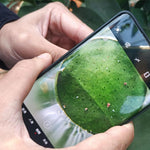 Kính lúp macro da đầu và nang tóc cho điện thoại di động