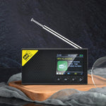 Đài kỹ thuật số di động trong xe DAB, DAB-PC1
