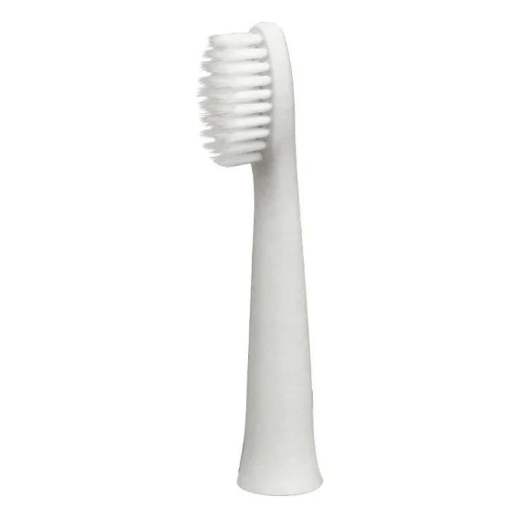 Đầu bàn chải thay thế cho bàn chải điện Panasonic mẫu EW-DM71/EW-DM711/EW-DM712/EW-PDM7B/EW-DM31 & nhiều hơn, 2 cái WEW0971, 2 cái WEW0972