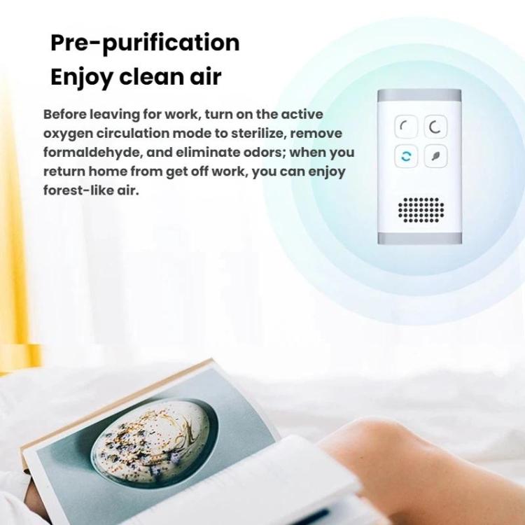Máy lọc không khí ion âm ozone khử formaldehyde, phích cắm US, phích cắm EU
