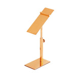 Giá để giày bằng thép không gỉ, giá trưng bày giày cao gót, chân điều chỉnh 140x50mm bóng gương, chân điều chỉnh 140x50mm màu vàng hồng, chân điều chỉnh 140x50mm màu đen, chân điều chỉnh 140x50mm màu titan, chân điều chỉnh màu đen, chân vuông/tròn màu đen