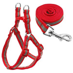 Bộ Dây Dẫn Chó Nylon Phản Quang Cho Chó Nhỏ Và Trung Bình, S