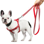 Bộ Dây Dẫn Chó Nylon Phản Quang Cho Chó Nhỏ Và Trung Bình, S