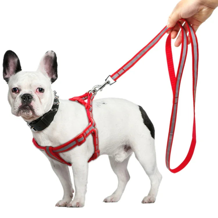Bộ Dây Dẫn Chó Nylon Phản Quang Cho Chó Nhỏ Và Trung Bình, S