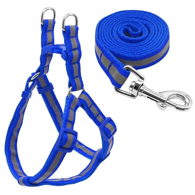 Bộ Dây Dẫn Chó Nylon Phản Quang Cho Chó Nhỏ Và Trung Bình, S