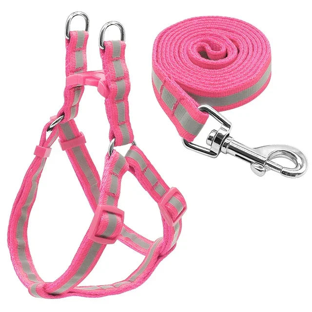 Bộ Dây Dẫn Chó Nylon Phản Quang Cho Chó Nhỏ Và Trung Bình, S