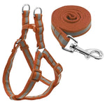 Bộ Dây Dẫn Chó Nylon Phản Quang Cho Chó Nhỏ Và Trung Bình, S