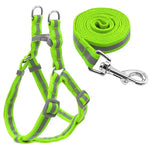 Bộ Dây Dẫn Chó Nylon Phản Quang Cho Chó Nhỏ Và Trung Bình, S