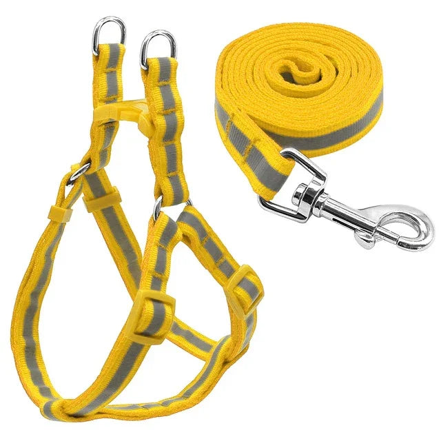 Bộ Dây Dẫn Chó Nylon Phản Quang Cho Chó Nhỏ Và Trung Bình, S