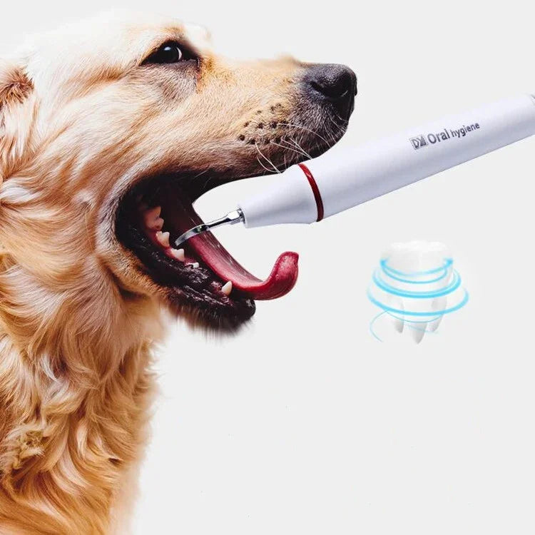 Máy Rửa Răng Siêu Âm Loại Bỏ Vôi Răng Cho Chó Cưng, Phích Cắm CN, Phích Cắm Mỹ, Phích Cắm Anh, Phích Cắm EU