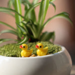 5 PCS Mini Doll House Accessories Resin Three-dimensional Small Yellow Duck Plant Decoration, Yellow Duck Plant Decoration