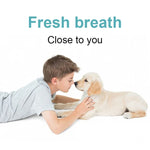 Bàn Chải Đánh Răng Điện Cho Thú Cưng Dụng Cụ Đánh Bóng Răng, Làm Sạch Miệng, Loại Bỏ Mảng Bám
