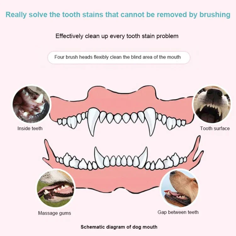 Bàn Chải Đánh Răng Điện Cho Thú Cưng Dụng Cụ Đánh Bóng Răng, Làm Sạch Miệng, Loại Bỏ Mảng Bám