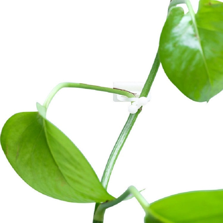 Ảnh thay thế