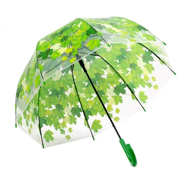 Ô trong suốt lá xanh cán thẳng cán cong