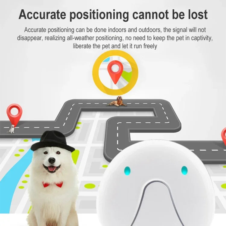 F9 Thiết bị định vị GPS thông minh mini cho thú cưng, Định vị WIFI