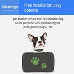 TK203 Thiết bị định vị GPS 4G / GPRS / GSM cho cá nhân / hàng hóa / thú cưng / túi xách, Vòng cổ thú cưng theo dõi thời gian thực, TK203