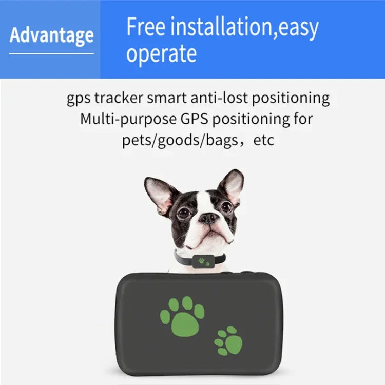 TK203 Thiết bị định vị GPS 4G / GPRS / GSM cho cá nhân / hàng hóa / thú cưng / túi xách, Vòng cổ thú cưng theo dõi thời gian thực, TK203