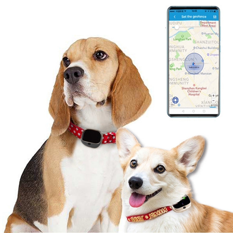 RF-V43 Kiểu A Định vị GPS + LBS + WiFi chống nước IP67 cho thú cưng, Vòng cổ theo dõi cho châu Á/Châu Âu/Châu Phi/Châu Úc, RF-V43 Kiểu A (Đen), RF-V43 Kiểu A (Trắng)