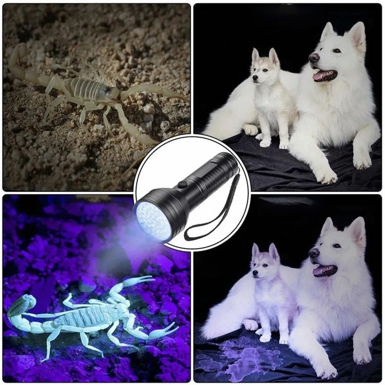 51 LEDs 395nm UV LED Flashlight, Support Detect Pet Urine