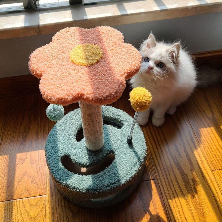 Cat Climbing Rack Small Turntable Cat Scratching Board Toy - Trustpick