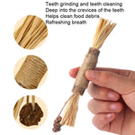 Cat Teething Stick Toy Teeth Cleaning Catnip Teasing Stick - Trustpick