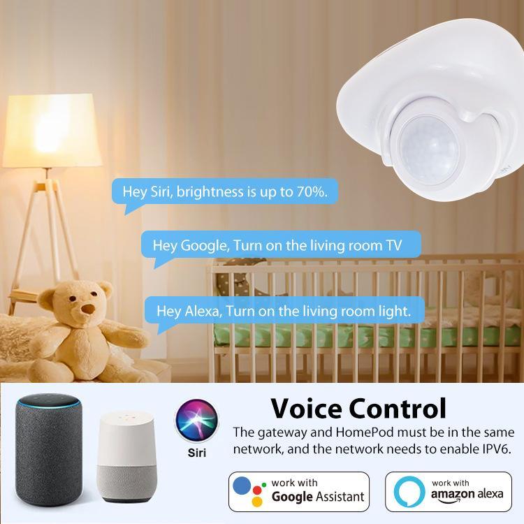 Matter Thread USB - C Power PIR Motion Sensor Smart Home System Compatible With Tuya App Remote Control - Trustpick